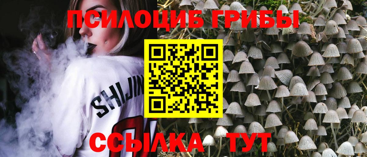 Псилоцибиновые грибы GOLDEN TEACHER  Вход с VPN  купить закладку  Урус-Мартан 